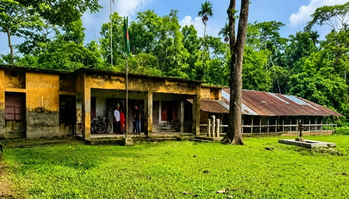 শিক্ষক-কর্মচারী ১৩, পরীক্ষার্থী ১২—পাস করল মাত্র ১ জন!