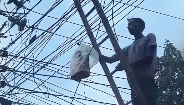 বৈদ্যুতিক তারে ‘বোমাসদৃশ’ বক্স, বাজছিল শেখ মুজিবের ভাষণ