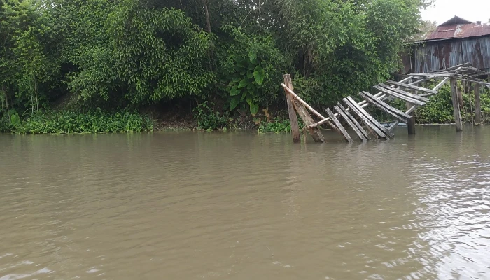 বাঁশের সাঁকো ভেঙে পড়ায় দুর্ভোগে ১০ গ্রামের মানুষ