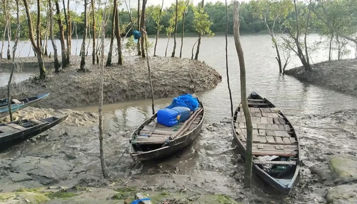 নিষেধাজ্ঞার মধ্যেও সুন্দরবনে ঢুকছেন মানুষ