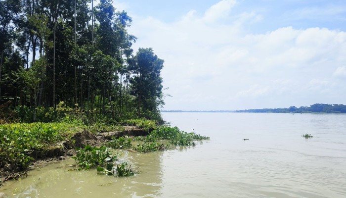 সুগন্ধায় তীব্র ভাঙন, আতঙ্কে বহু পরিবার
