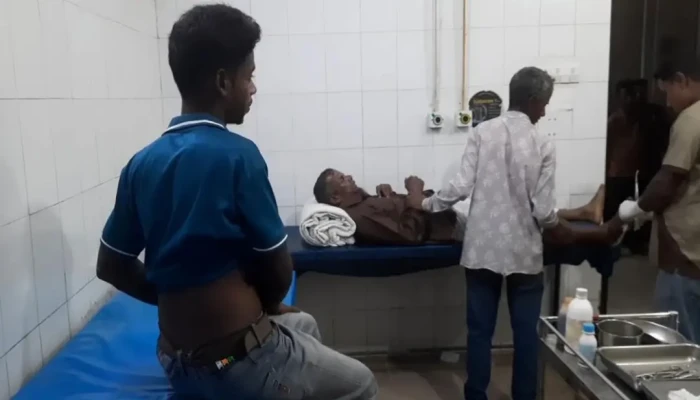 পঞ্চগড়ে শিয়ালের আক্রমণে আহত ৭