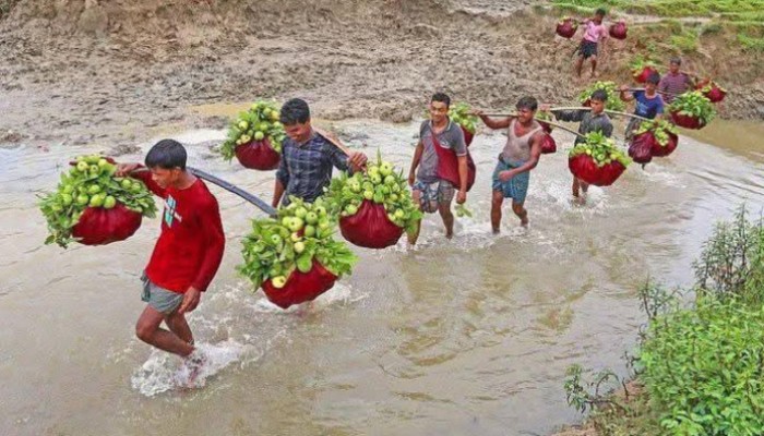 পেয়ারা যাচ্ছে মধ্যপ্রাচ্যে