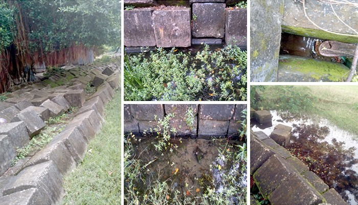 ​কলাপাড়ায় ডেঙ্গু আক্রান্তের সংখ্যা বাড়ছে, হটস্পট চরনিশানবাড়িয়া গ্রাম