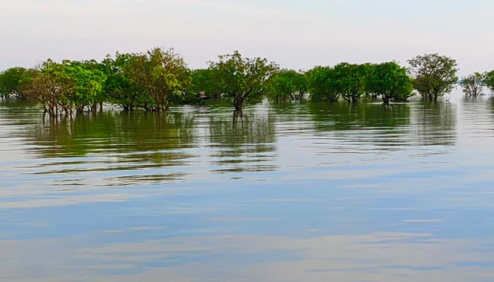 সৌন্দর্য হারাচ্ছে ডিঙ্গাপোতা হাওর, বাড়ছে সংকট