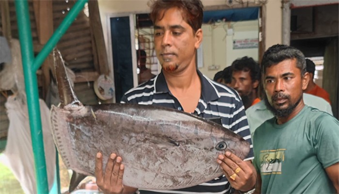 ​বিরল ‘স্লেন্ডার সানফিশ’ দেখতে কৌতূহলী মানুষের ভিড়