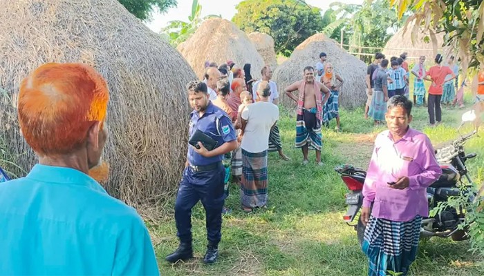 ​গভীর রাতে ১০টি ঘোড়া জবাই, তিনটি ফেলে রেখে চম্পট