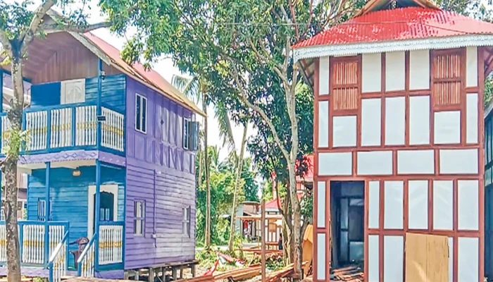 লৌহজংয়ের ঐতিহ্যবাহী কাঠের ঘরের জিআই স্বীকৃতির দাবি