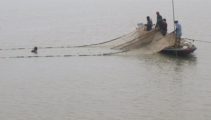 হাওরে মাছের আকাল, সংকটে জেলেরা