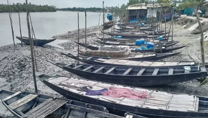 ব্যস্ততা ফিরেছে উপকূলের জনপদে: তিন মাস পর খুলছে সুন্দরবন
