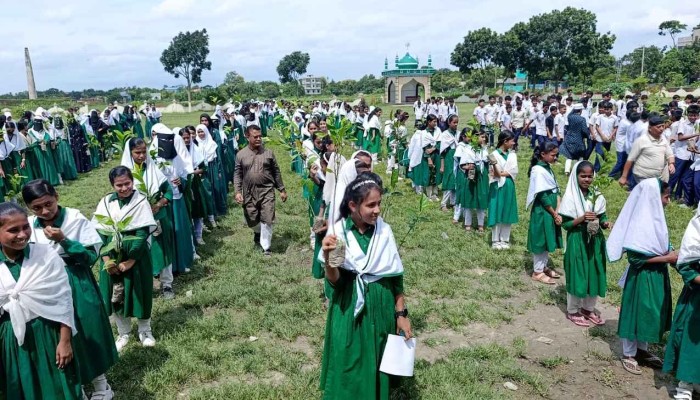শিক্ষার্থীদের হাতে সবুজ বাংলাদেশ