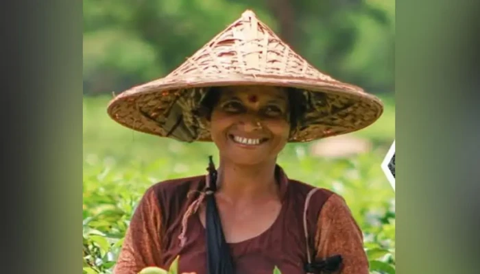 চা পাতা তুলতে গিয়ে এক নারী শ্রমিকের মৃত্যু