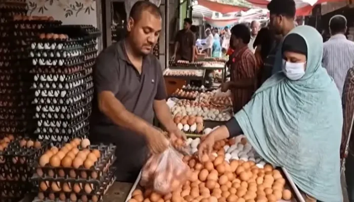 ডিমের মূল্য ১৪ টাকা : মাছ-সবজির দামও বাড়তি