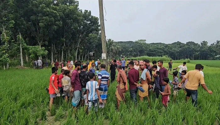ট্রান্সফরমার চুরি করতে গিয়ে বিদ্যুৎস্পৃষ্টে এক ব্যক্তির মৃত্যু