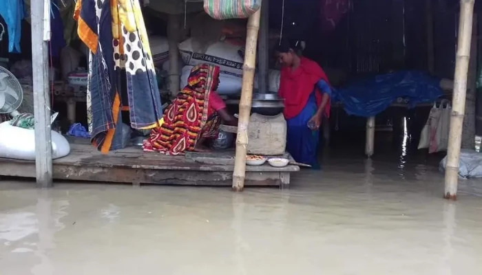 পানিবন্দি ১৫০ পরিবার: রাজশাহীর চরখিদিরপুরে খাবারের তীব্র সংকট