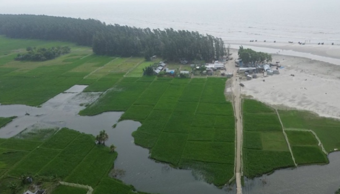 কুয়াকাটায় হবে বিমানবন্দর: স্থান নির্বাচনে স্বচ্ছতার দাবি