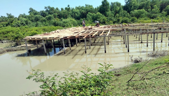 কলাপাড়ায় ম্যানগ্রোভ বনের পাশেই তোলা হচ্ছে স্থাপনা, হুমকিতে বনাঞ্চল প্রকৃতি