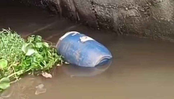 স্লুইসগেটে ভাসতে থাকা ড্রামে মিলল অজ্ঞাত ব্যক্তির লাশ