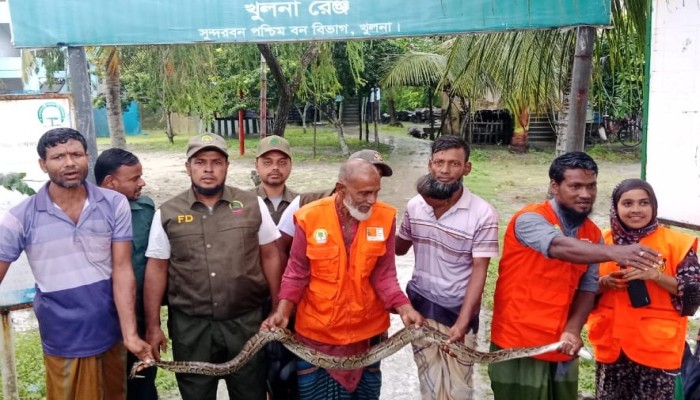কয়রায় ১১ ফুট লম্বা অজগর সাপ উদ্ধার