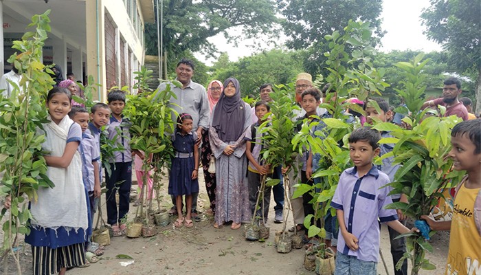 ​কলাপাড়ায় ১৩৫০টি গাছের চারা বিতরণ