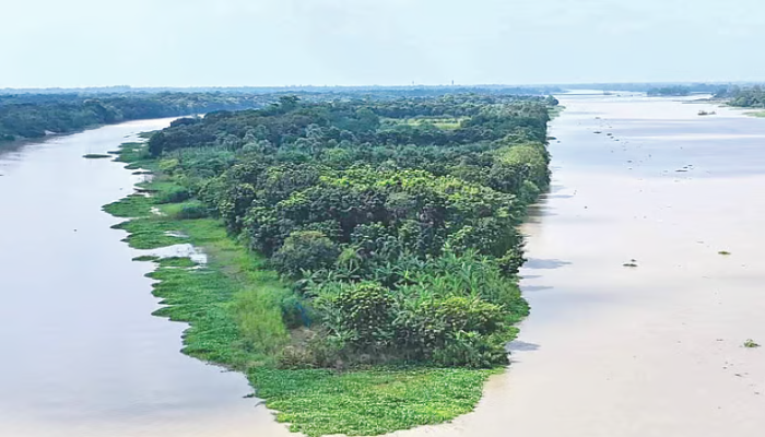 সৌরবিদ্যুৎকেন্দ্রের জন্য কাপাসিয়ার ধাঁধার চর ইজারা চান বিএনপির সাবেক নেতা