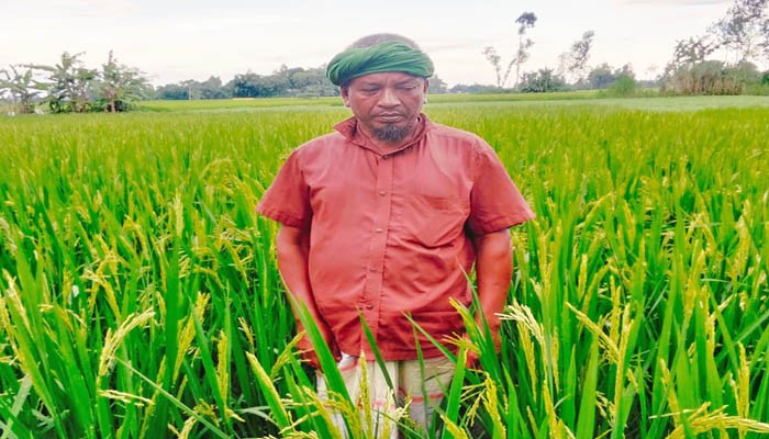 তেলের দাম বেড়ে যাওয়ায় কুড়িগ্রামে চরের মানুষের নাভিশ্বাস