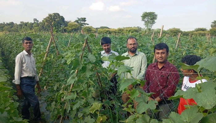 কাপাসিয়ায় রক মেলনে নতুন স্বপ্ন কৃষকের