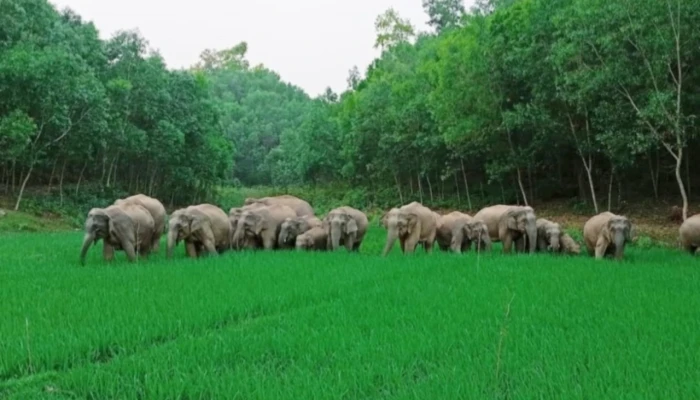 শেরপুর সীমান্তে পর্যটনের নতুন সম্ভাবনা
