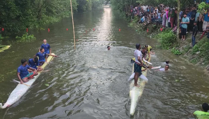 কুষ্টিয়ায় কলাগাছের ভেলা বাইচ দেখতে মানুষের উপচে পড়া ভিড়