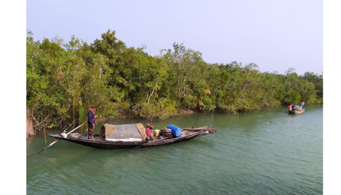 দস্যু আতঙ্কে জেলেরা