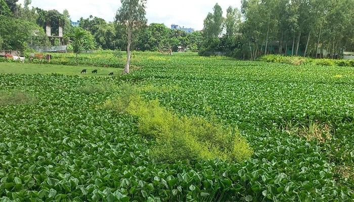 ​লালমনিরহাটে ১৬ নদীর ১৪টিই অস্তিত্ব সংকটে