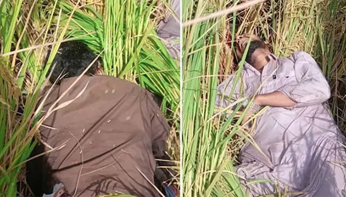 ​পাকিস্তান সীমান্তে বিএসএফের গুলি, নিহত দুই
