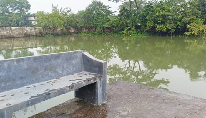 খেলতে গিয়ে পুকুরে ডুবে দুই বোনের মৃত্যু