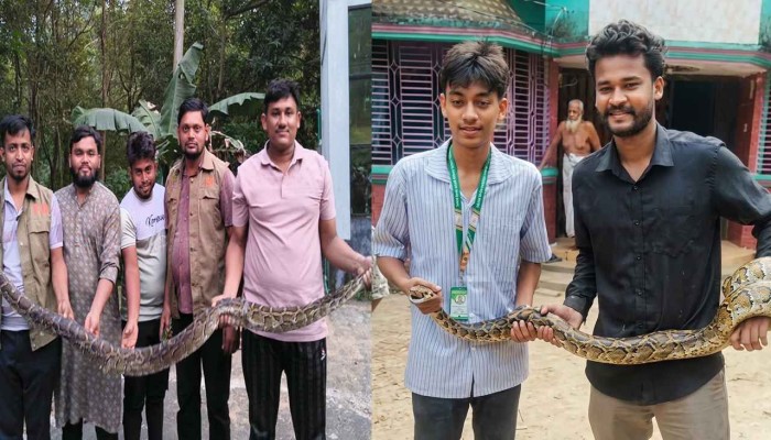 মিরসরাইয়ে একদিনে দুটি অজগর উদ্ধার