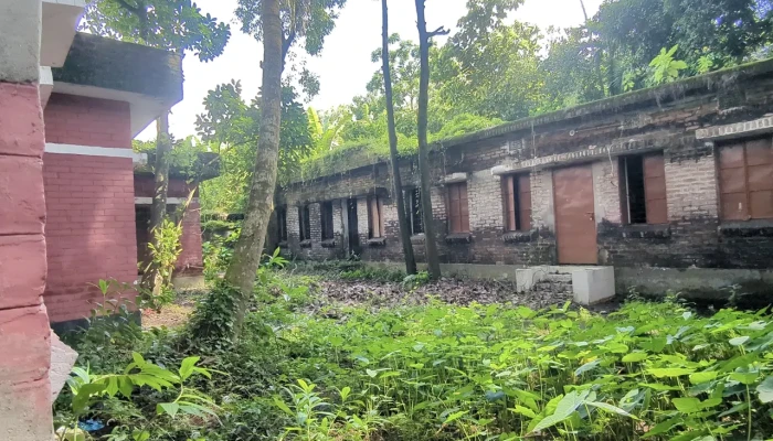 এক যুগ ধরে বন্ধ চিকিৎসাকেন্দ্র : এখন সাপ-পোকামাকড়ের আবাস