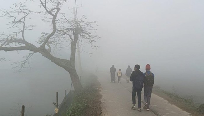 এবার শীতে কুয়াশার দাপট বাড়ার শঙ্কা