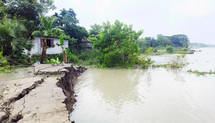 বরিশালে ৮ নদীতে তীব্র ভাঙন: ভিটেমাটি হারানোর শঙ্কা
