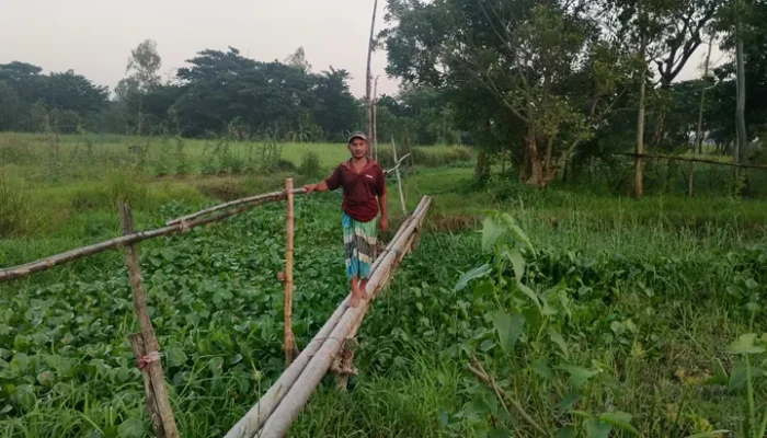 তিন সাঁকোয় বন্দি জীবন!