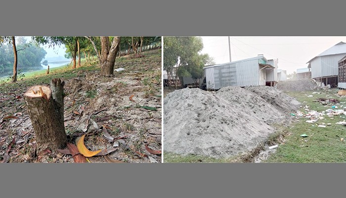 কলাপাড়ায় বেড়িবাঁধের স্লোপের গাছ কেটে স্থাপনা তোলা চলছেই