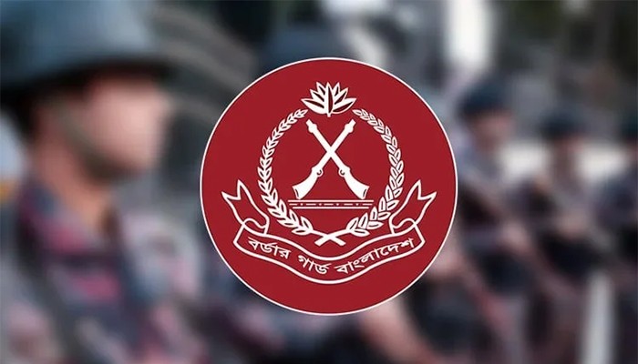 ২৭২৭ পূজামণ্ডপের নিরাপত্তায় বিজিবি, দুর্গম এলাকায় ২১টি ক্যাম্প