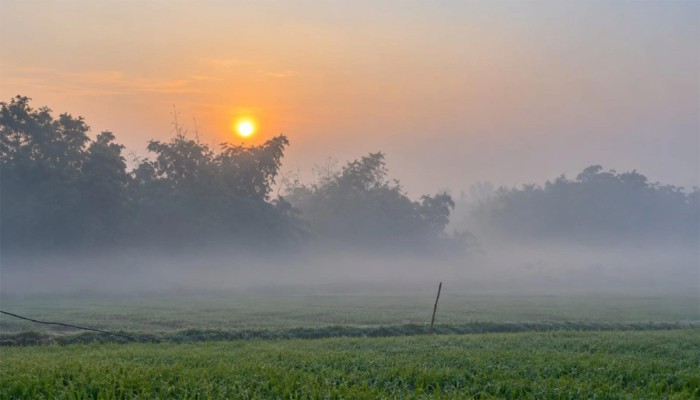 শরতের ভোরে কুয়াশার চাদরে ঢাকা কুড়িগ্রাম