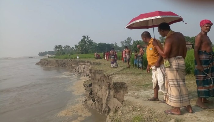 ব্রহ্মপুত্রের পেটে যাচ্ছে বসতভিটা ও ফসলি জমি