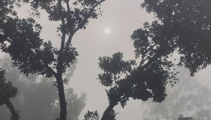 পঞ্চগড়ে তাপমাত্রা নামল ১৭ ডিগ্রিতে, বাড়ছে কুয়াশা
