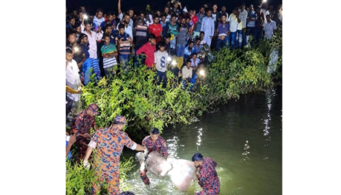 বিদ্যুৎস্পৃস্ট হয়ে কলাপাড়ায় এক ব্যক্তির মৃত্যু