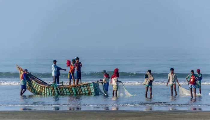 সামুদ্রিক মাছের সংকট: পাঁচ বছরে কমেছে ১৬.৫৭ শতাংশ