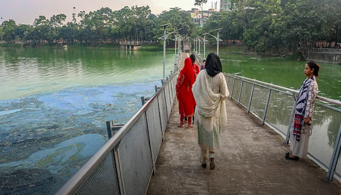 পয়োবর্জ্যে মৃতপ্রায় হাতিরঝিল